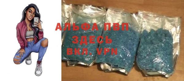 спайс Алзамай