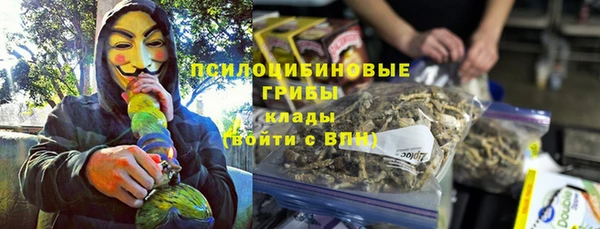 спайс Алзамай