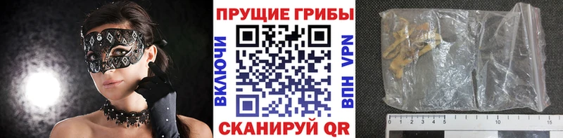 наркотики  omg сайт  Псилоцибиновые грибы MAGIC MUSHROOMS  Лагань 